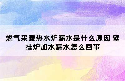 燃气采暖热水炉漏水是什么原因 壁挂炉加水漏水怎么回事